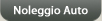 Noleggio Auto